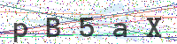Enter Security Code