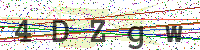 Enter Security Code