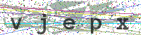 Enter Security Code
