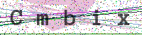 Enter Security Code