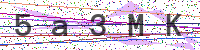 Sicherheitscode eingeben
