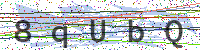 Enter Security Code