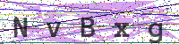 Enter Security Code