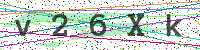 Enter Security Code