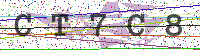 Enter Security Code