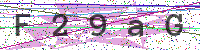 Enter Security Code