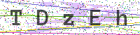 Enter Security Code