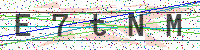 Enter Security Code