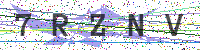 Enter Security Code