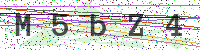 Enter Security Code