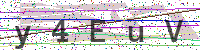 Enter Security Code