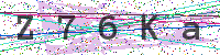 Enter Security Code