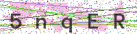 Enter Security Code