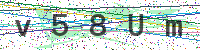 Enter Security Code