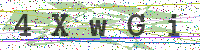 Sicherheitscode eingeben