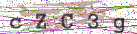 Enter Security Code