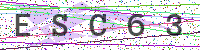 Enter Security Code