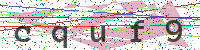 Enter Security Code