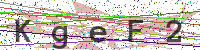 Enter Security Code