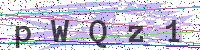Sicherheitscode eingeben