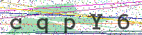 Sicherheitscode eingeben