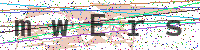 Enter Security Code