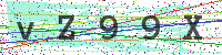 Enter Security Code
