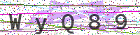 Enter Security Code