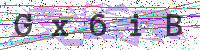 Enter Security Code