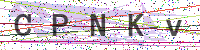 Enter Security Code