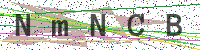 Sicherheitscode eingeben