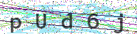 Enter Security Code