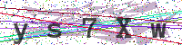 Enter Security Code