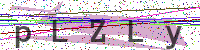 Enter Security Code