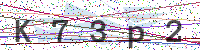 Enter Security Code