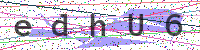 Enter Security Code