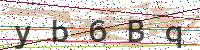 Enter Security Code