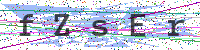 Enter Security Code