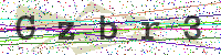 Enter Security Code