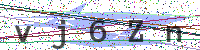 Enter Security Code