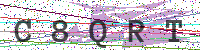 Enter Security Code