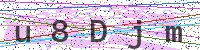 Sicherheitscode eingeben