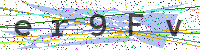 Enter Security Code