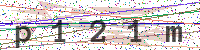 Enter Security Code