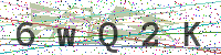 Enter Security Code