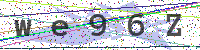 Enter Security Code