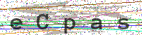 Enter Security Code