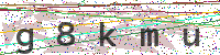 Sicherheitscode eingeben