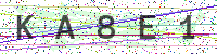 Sicherheitscode eingeben