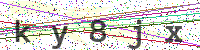 Enter Security Code